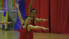 Forårsopvisningerne